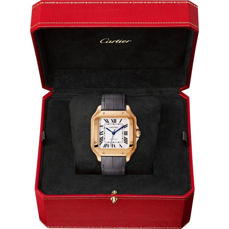Cartier Santos de Cartier Medium - undefined - #3