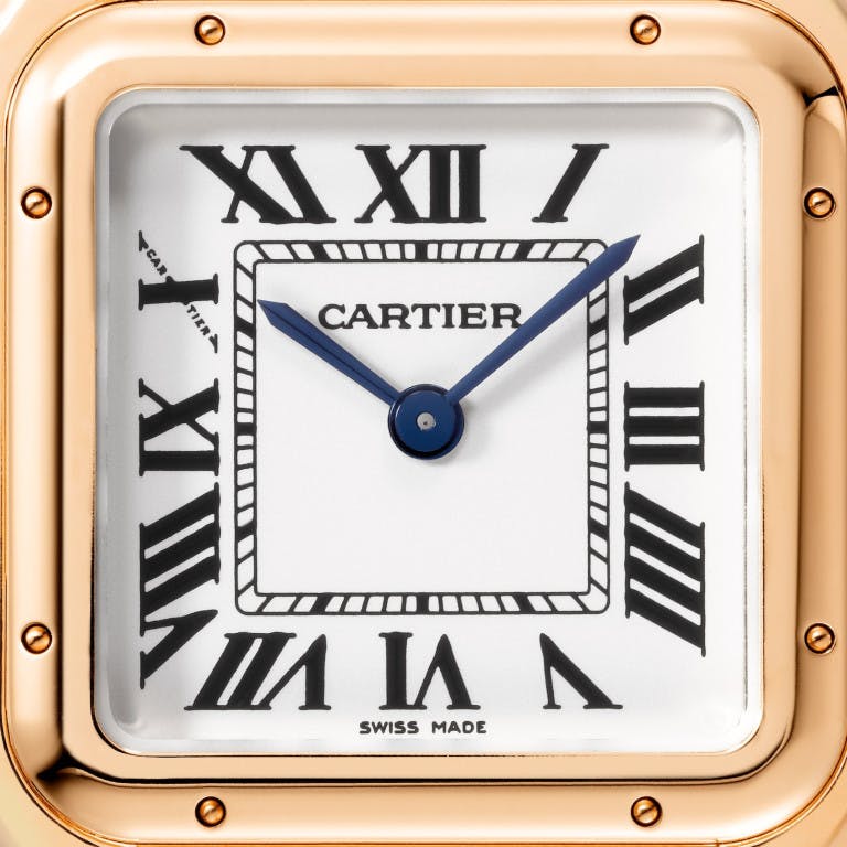 Cartier Panthère de Cartier Medium - undefined - #3