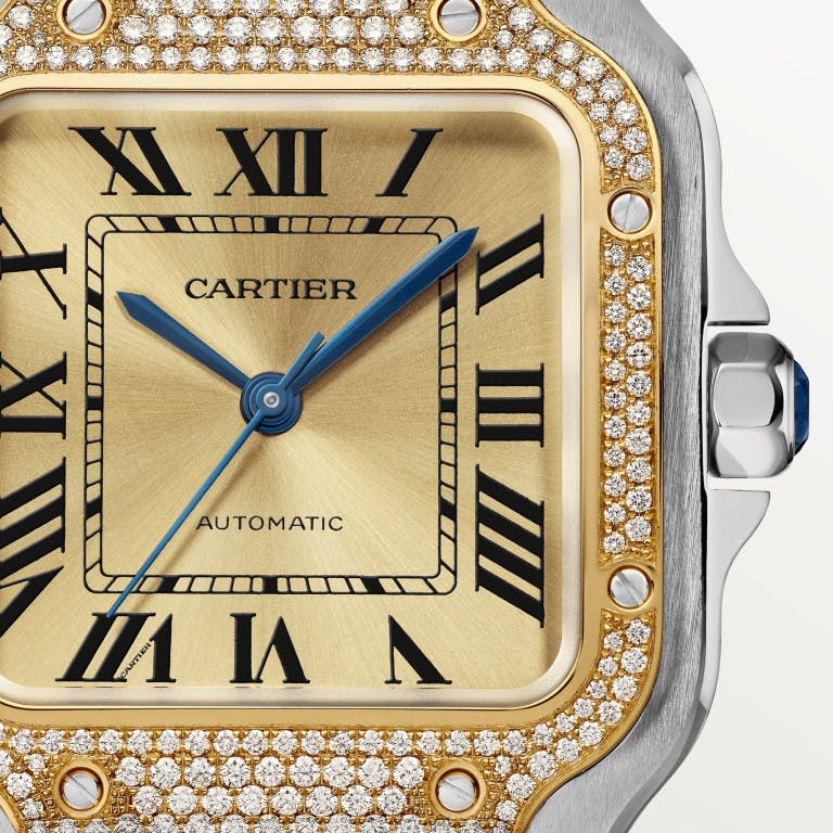 Cartier Santos de Cartier Medium - undefined - #3