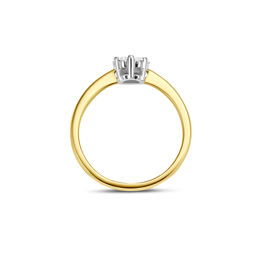 Schaap en Citroen Diamonds ring geelgoud met diamant - #3 Schaap en Citroen Diamonds ring geelgoud met diamant - #3