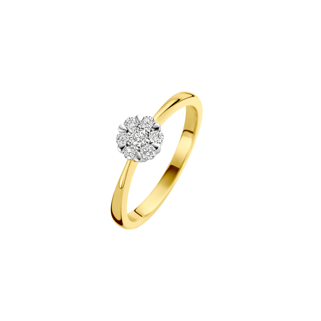 Schaap en Citroen Diamonds ring geelgoud met diamant - #1 Schaap en Citroen Diamonds ring geelgoud met diamant - #1