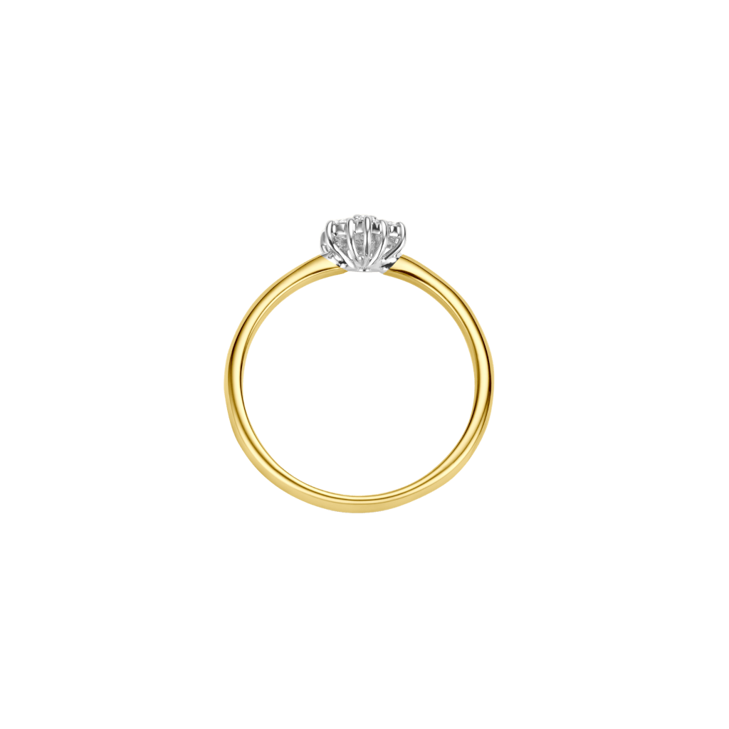 Schaap en Citroen Diamonds ring geelgoud met diamant - #3 Schaap en Citroen Diamonds ring geelgoud met diamant - #3