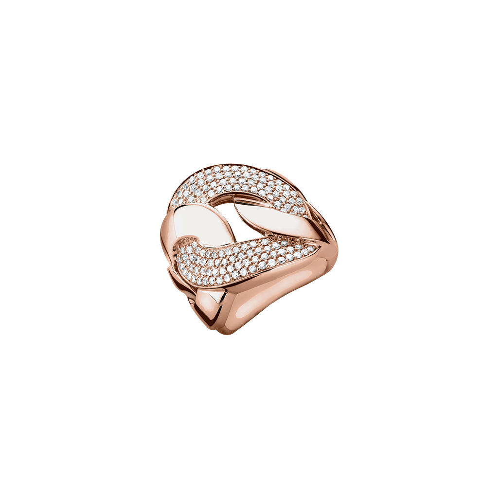 Diamonds Ring - Schaap en Citroen 