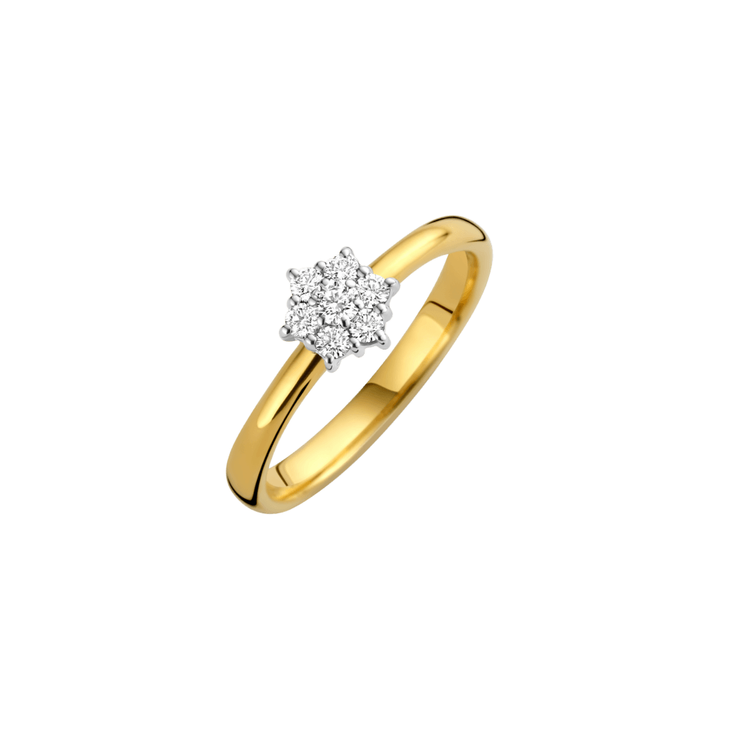 Schaap en Citroen Diamonds ring geelgoud met diamant - #1 Schaap en Citroen Diamonds ring geelgoud met diamant - #1