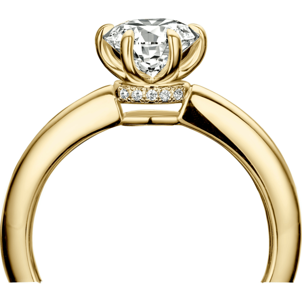 Schaap en Citroen Diamonds Sc 125 Collection ring geelgoud met diamant - #3 Schaap en Citroen Diamonds Sc 125 Collection ring geelgoud met diamant - #3