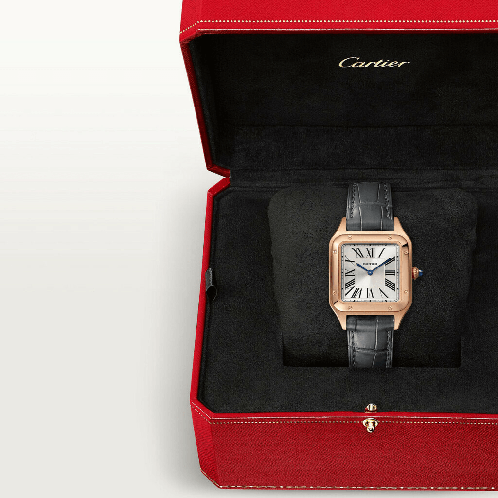 Cartier Santos De Cartier Santos Dumont - WGSA0117 - #6 Cartier Santos De Cartier Santos Dumont - WGSA0117 - #6