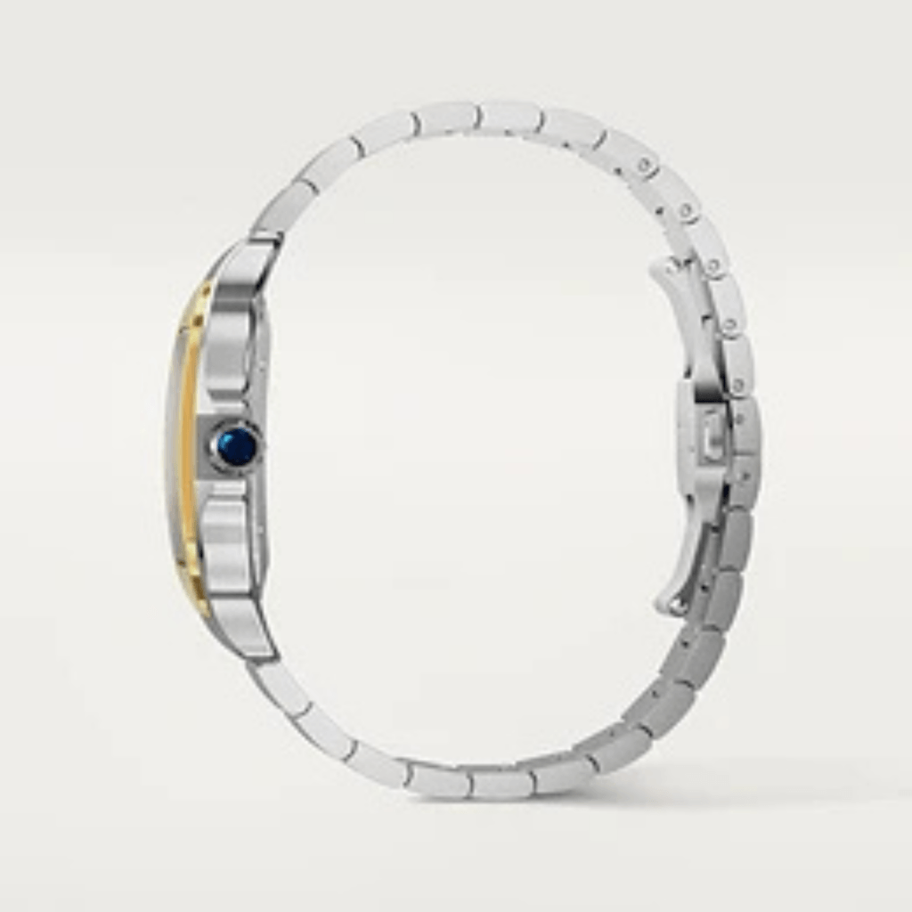 Cartier Santos De Cartier - W2SA0030 - #6 Cartier Santos De Cartier - W2SA0030 - #6