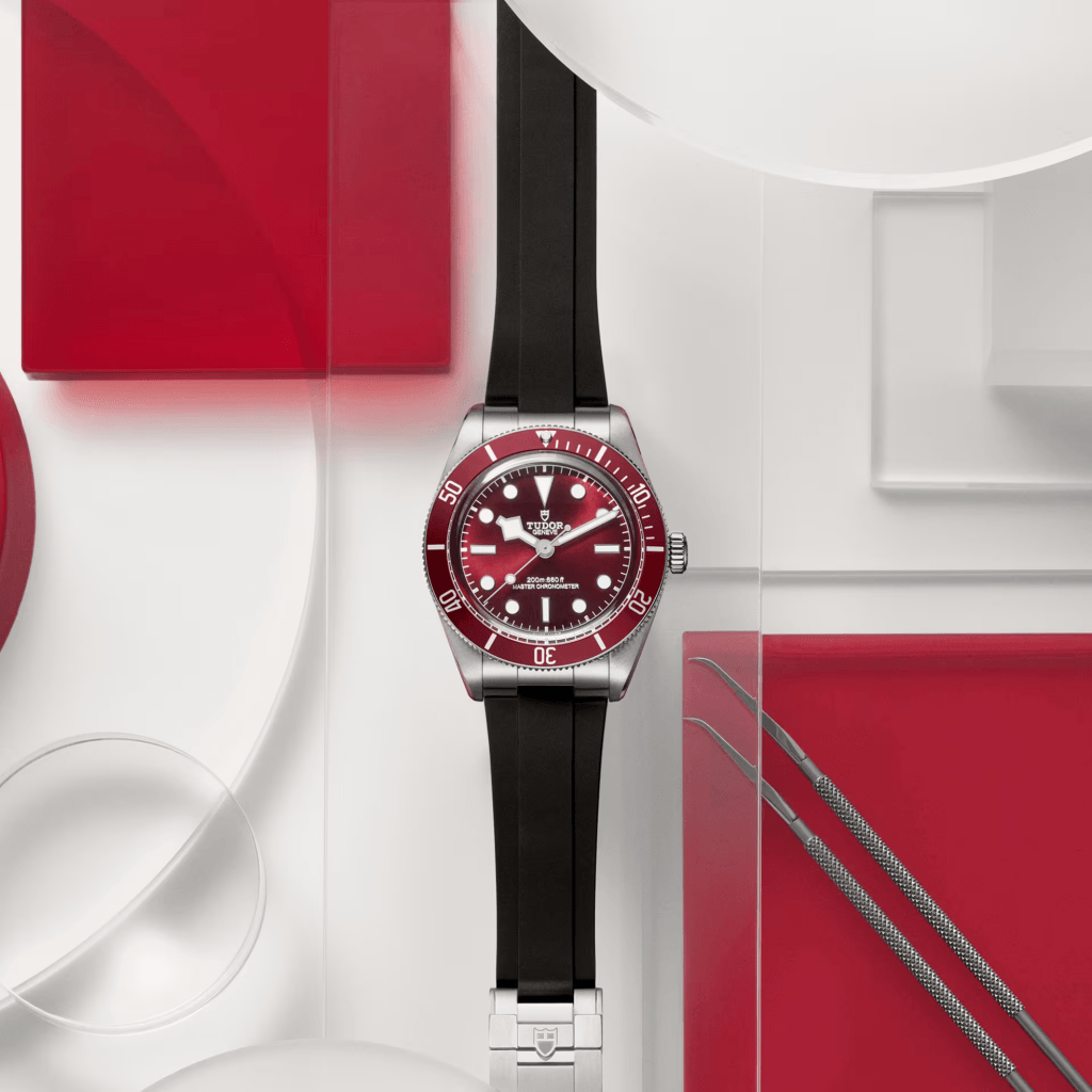 TUDOR Black Bay 58 39mm - 7939A1A0RU-0003 - #5 TUDOR Black Bay 58 39mm - 7939A1A0RU-0003 - #5