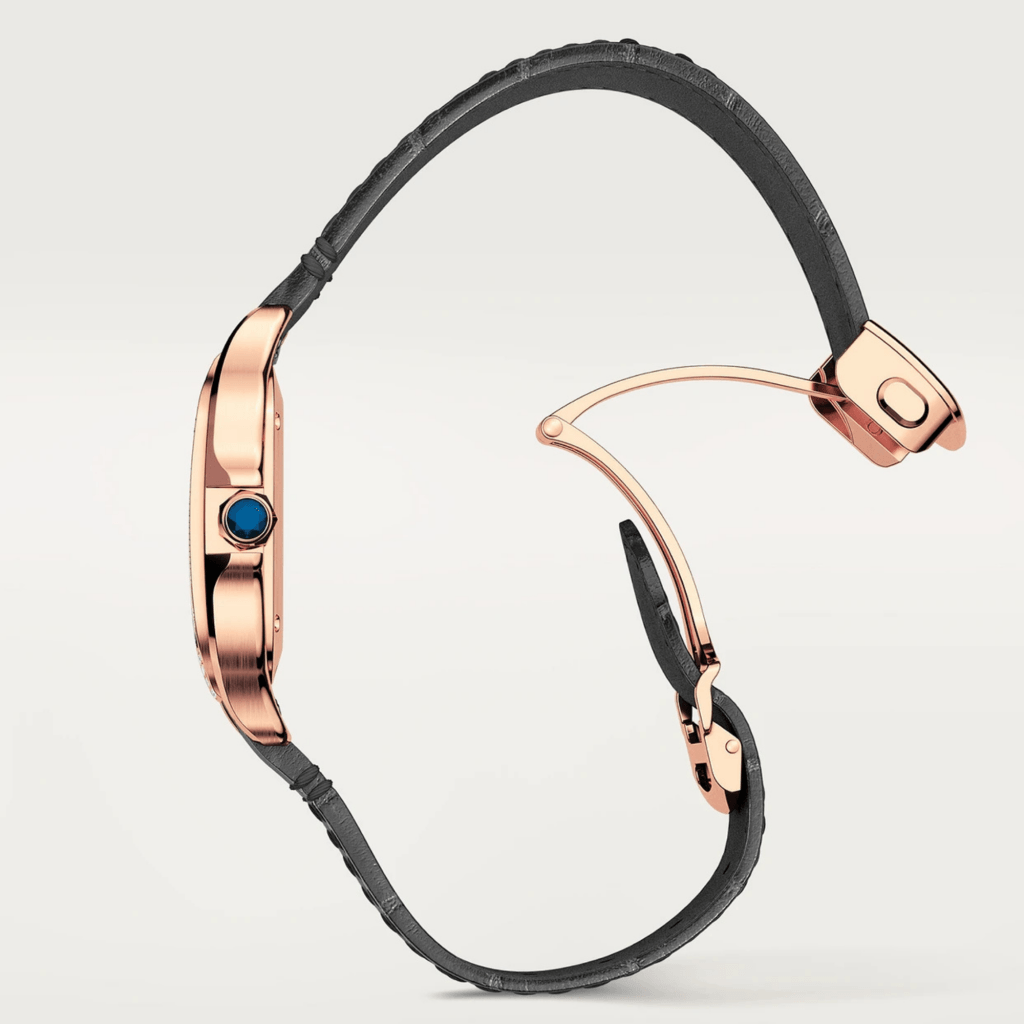 Cartier Santos De Cartier - WJSA0012 - #7
