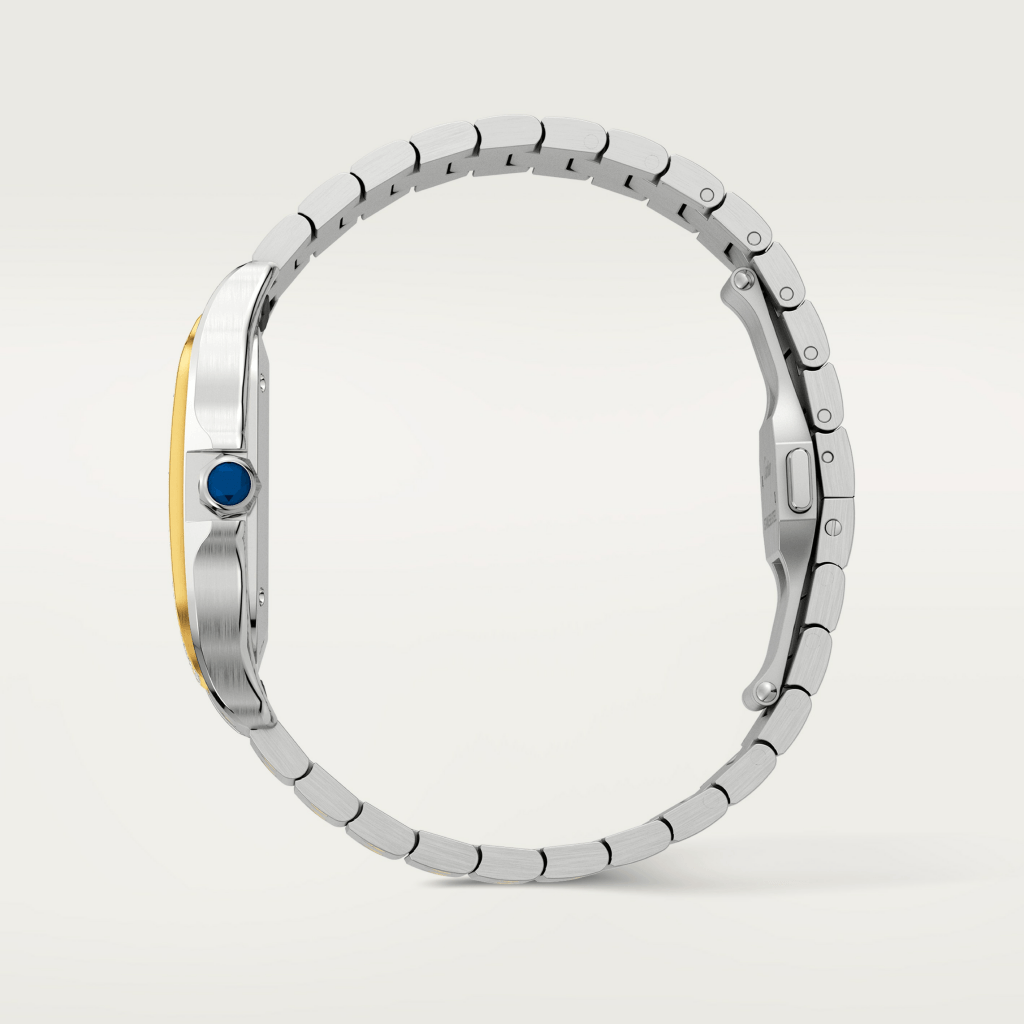 Cartier Santos De Cartier - W3SA0007 - #8 Cartier Santos De Cartier - W3SA0007 - #8