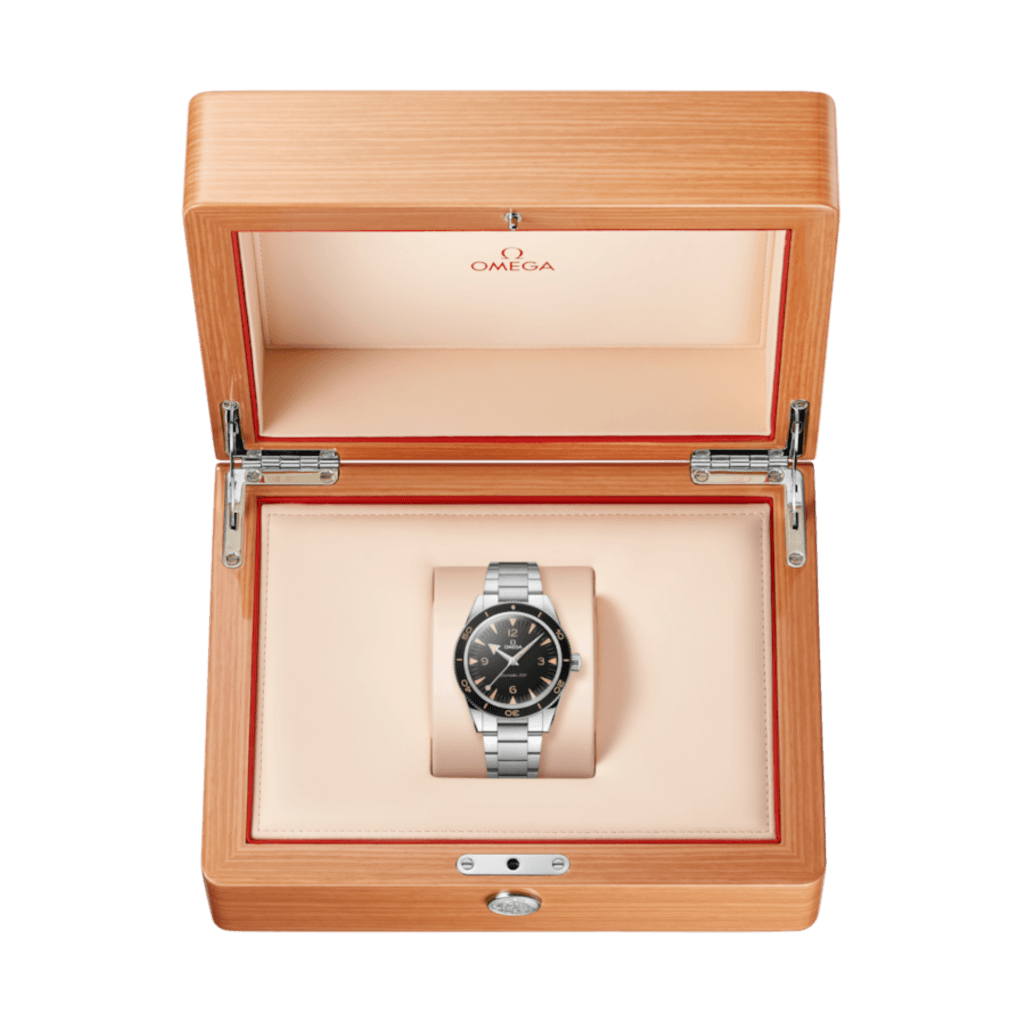 OMEGA Seamaster 300 41mm - 234.30.41.21.01.001 - #3