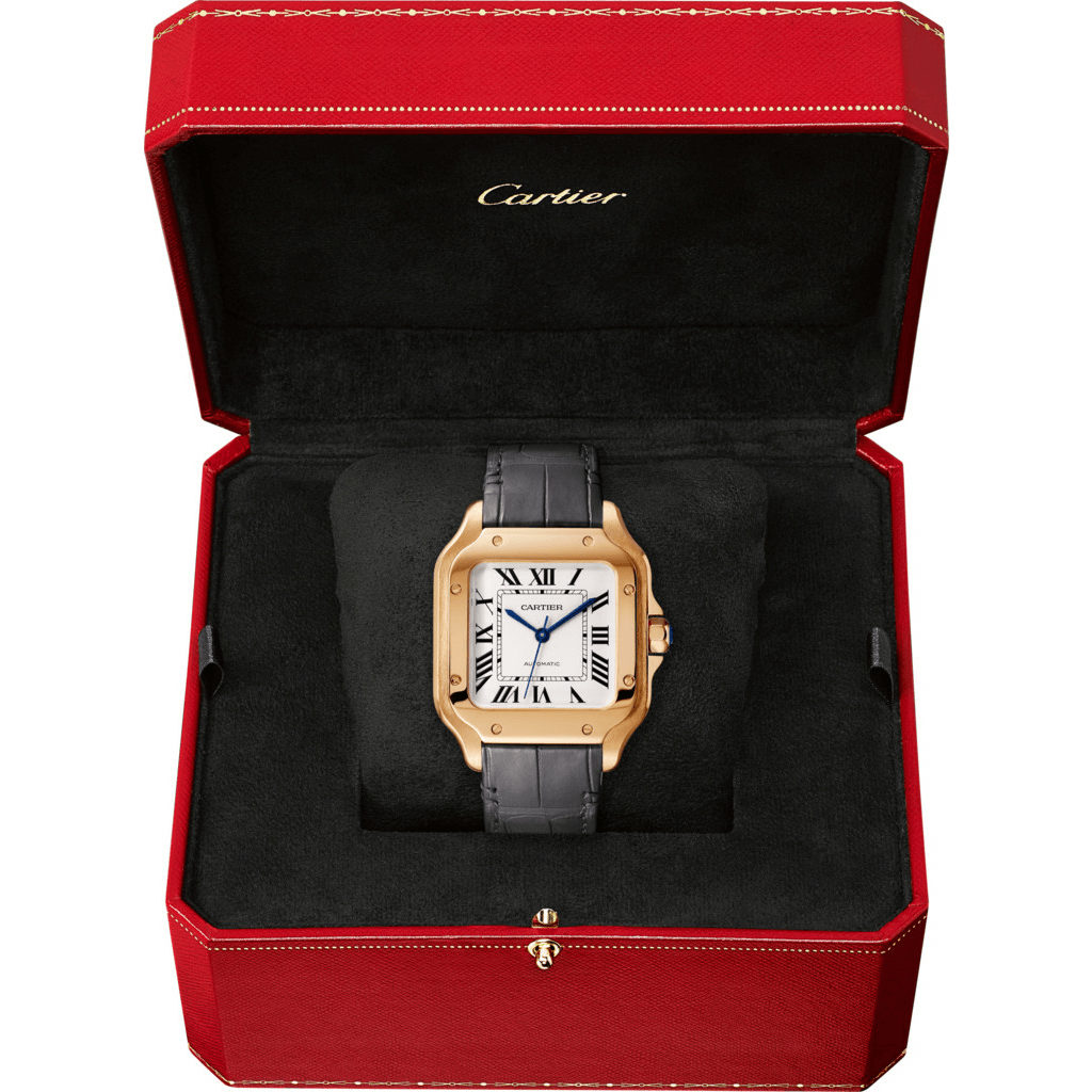 Cartier Santos De Cartier - WGSA0028 - #5 Cartier Santos De Cartier - WGSA0028 - #5