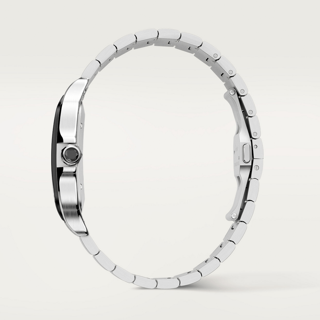 Cartier Santos De Cartier - WSSA0037 - #6 Cartier Santos De Cartier - WSSA0037 - #6