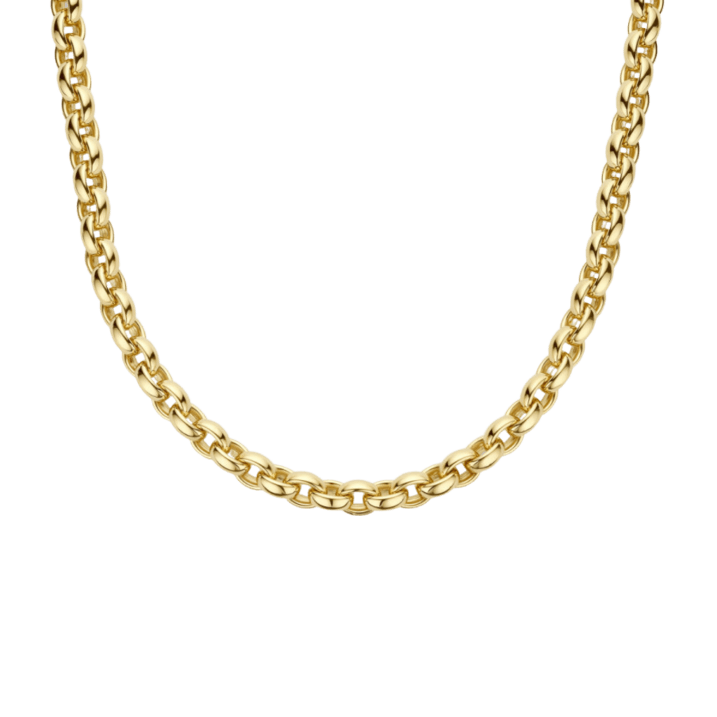 Schaap en Citroen Essentials collier geelgoud - #1 Schaap en Citroen Essentials collier geelgoud - #1