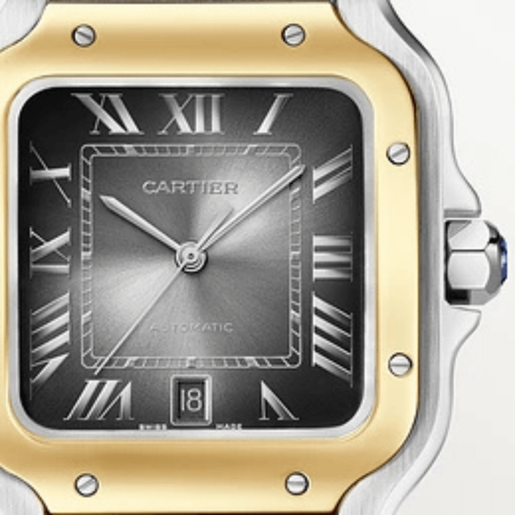Cartier Santos De Cartier - W2SA0030 - #5 Cartier Santos De Cartier - W2SA0030 - #5