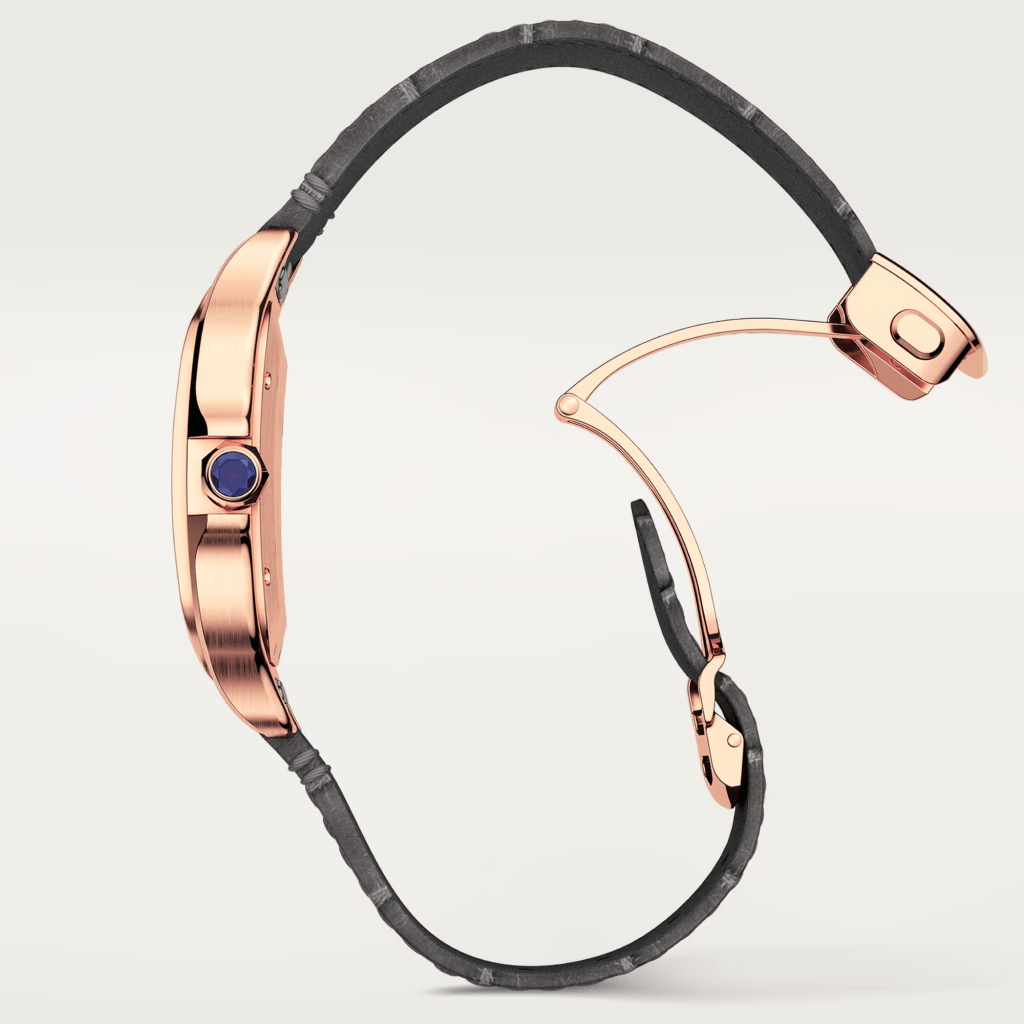 Cartier Santos De Cartier - WGSA0019 - #6 Cartier Santos De Cartier - WGSA0019 - #6