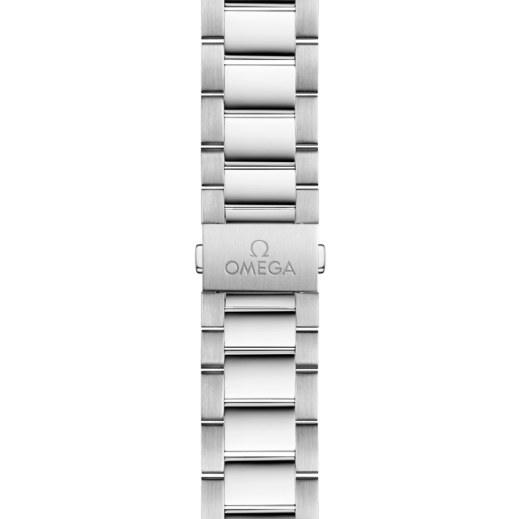 OMEGA Seamaster Aqua Terra 150m 41mm - 220.10.41.21.02.002 - #3 OMEGA Seamaster Aqua Terra 150m 41mm - 220.10.41.21.02.002 - #3