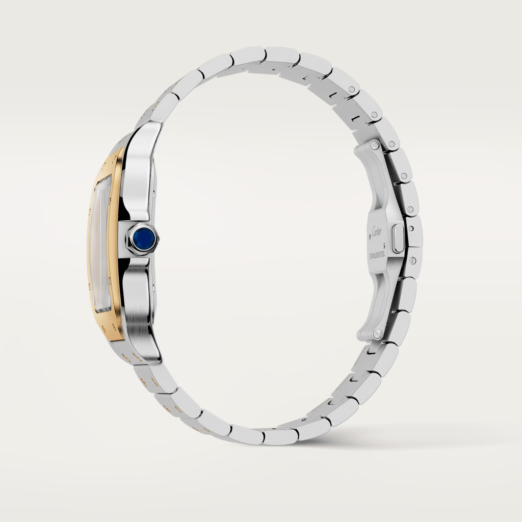 Cartier Santos De Cartier - W2SA0009 - #10 Cartier Santos De Cartier - W2SA0009 - #10