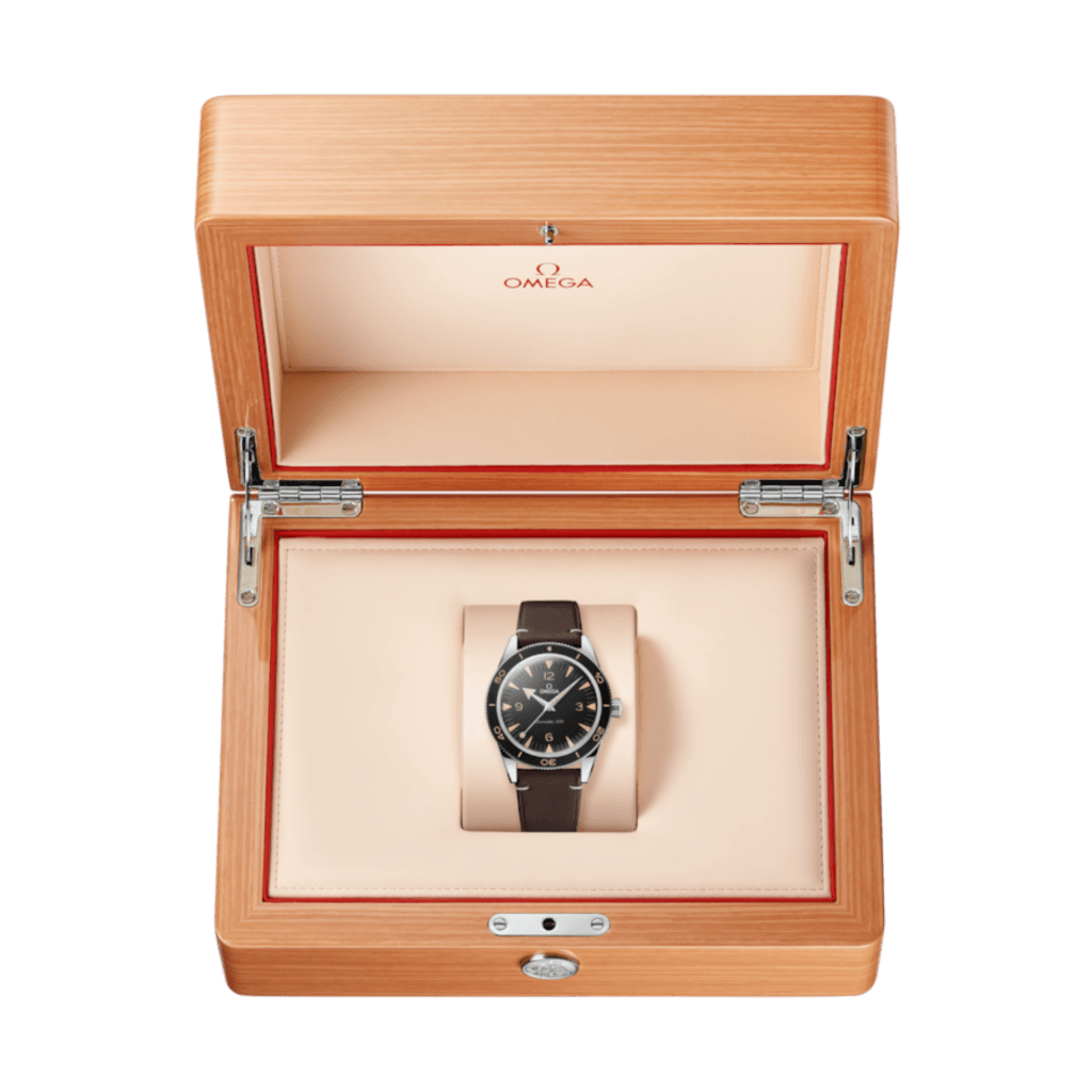OMEGA Seamaster 300 41mm - 234.32.41.21.01.001 - #5