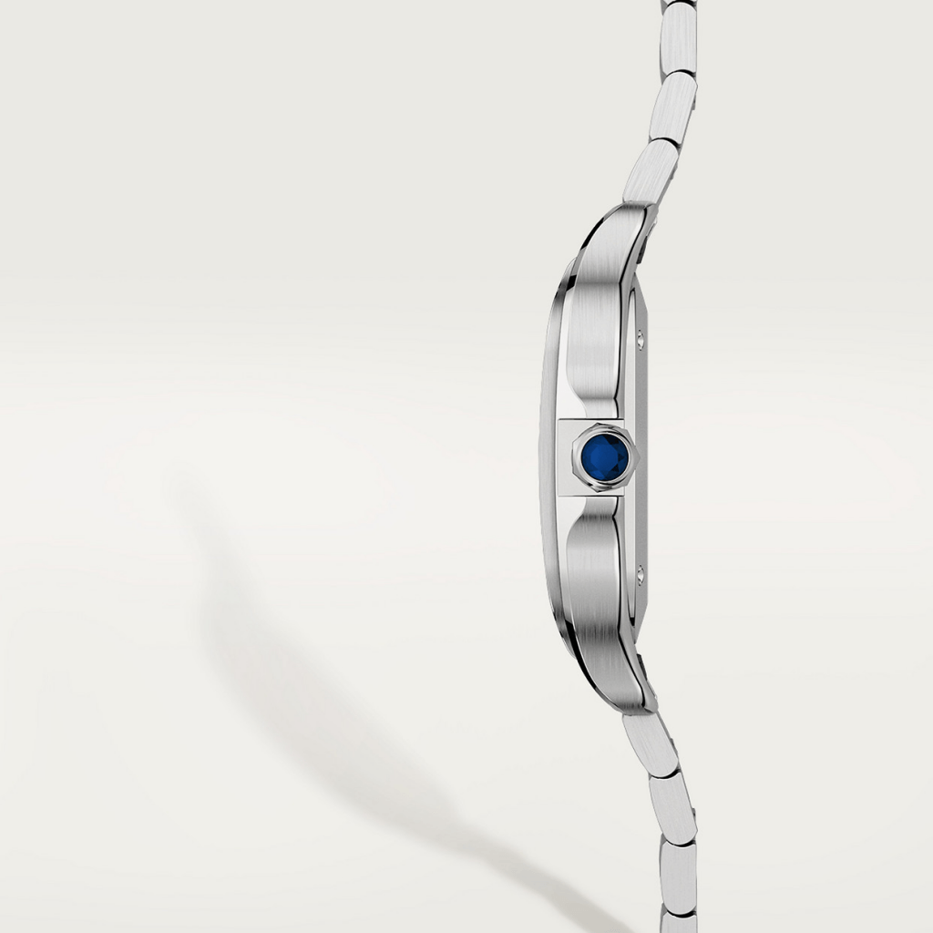 Cartier Santos De Cartier - WSSA0029 - #6 Cartier Santos De Cartier - WSSA0029 - #6
