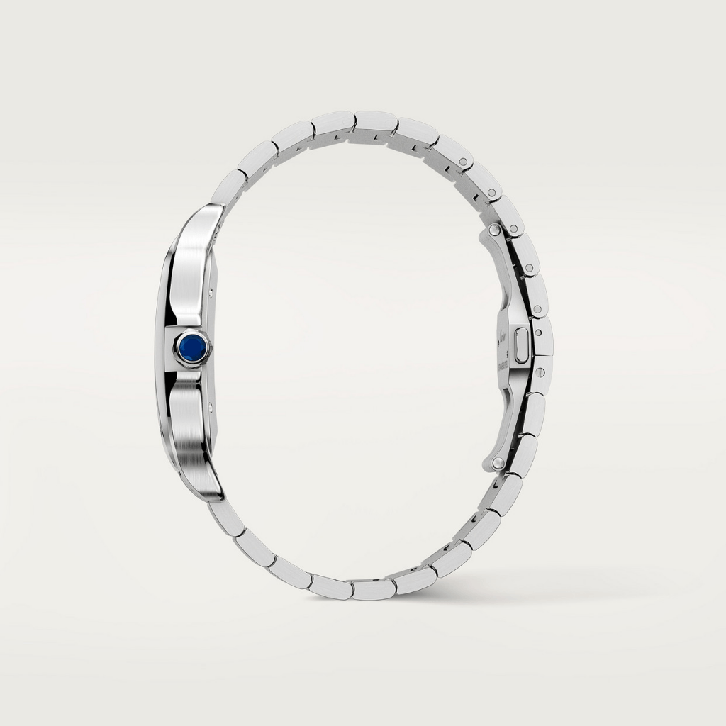 Cartier Santos De Cartier - WSSA0018 - #6 Cartier Santos De Cartier - WSSA0018 - #6
