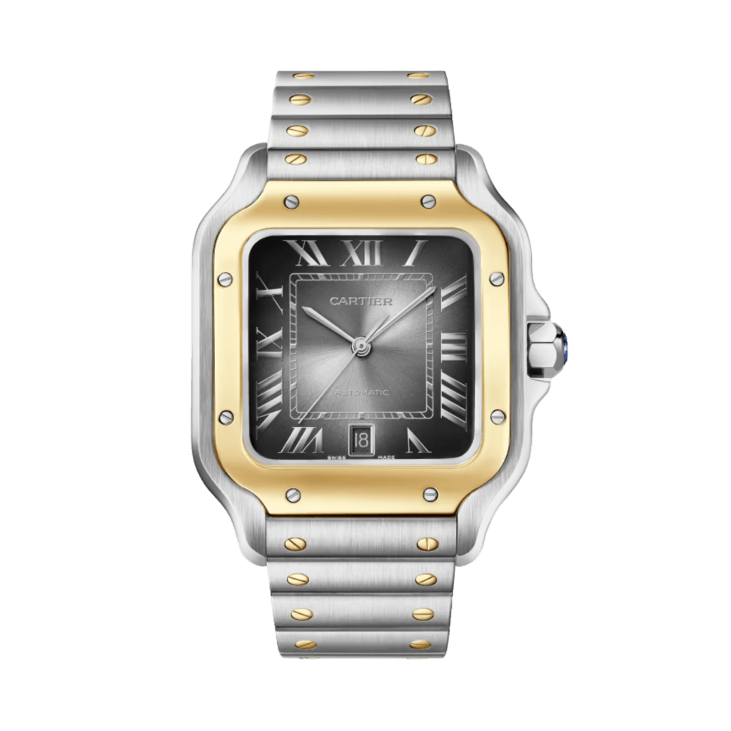 Cartier Santos De Cartier - W2SA0030 - #1 Cartier Santos De Cartier - W2SA0030 - #1