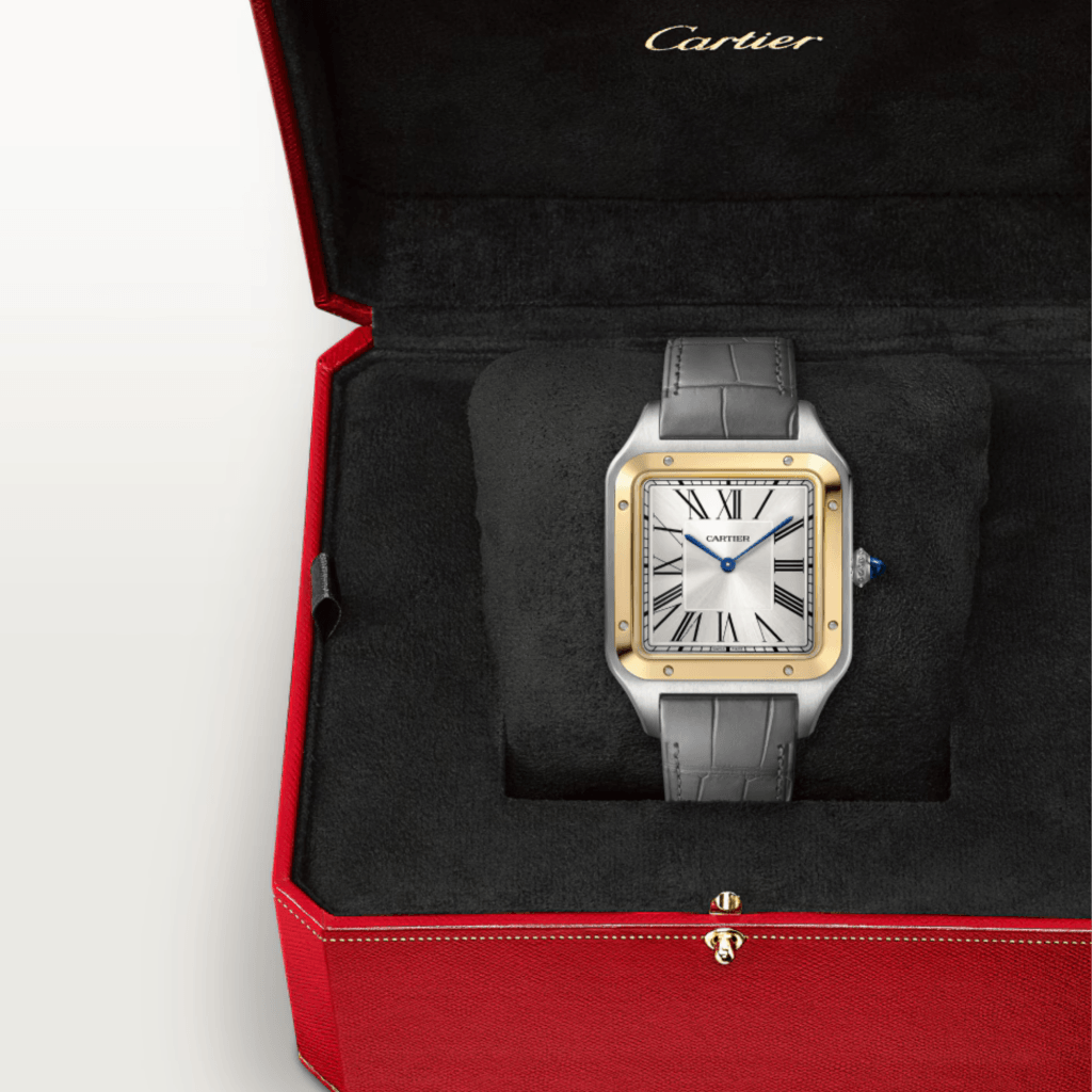 Cartier Santos De Cartier Santos Dumont - W2SA0034 - #6 Cartier Santos De Cartier Santos Dumont - W2SA0034 - #6