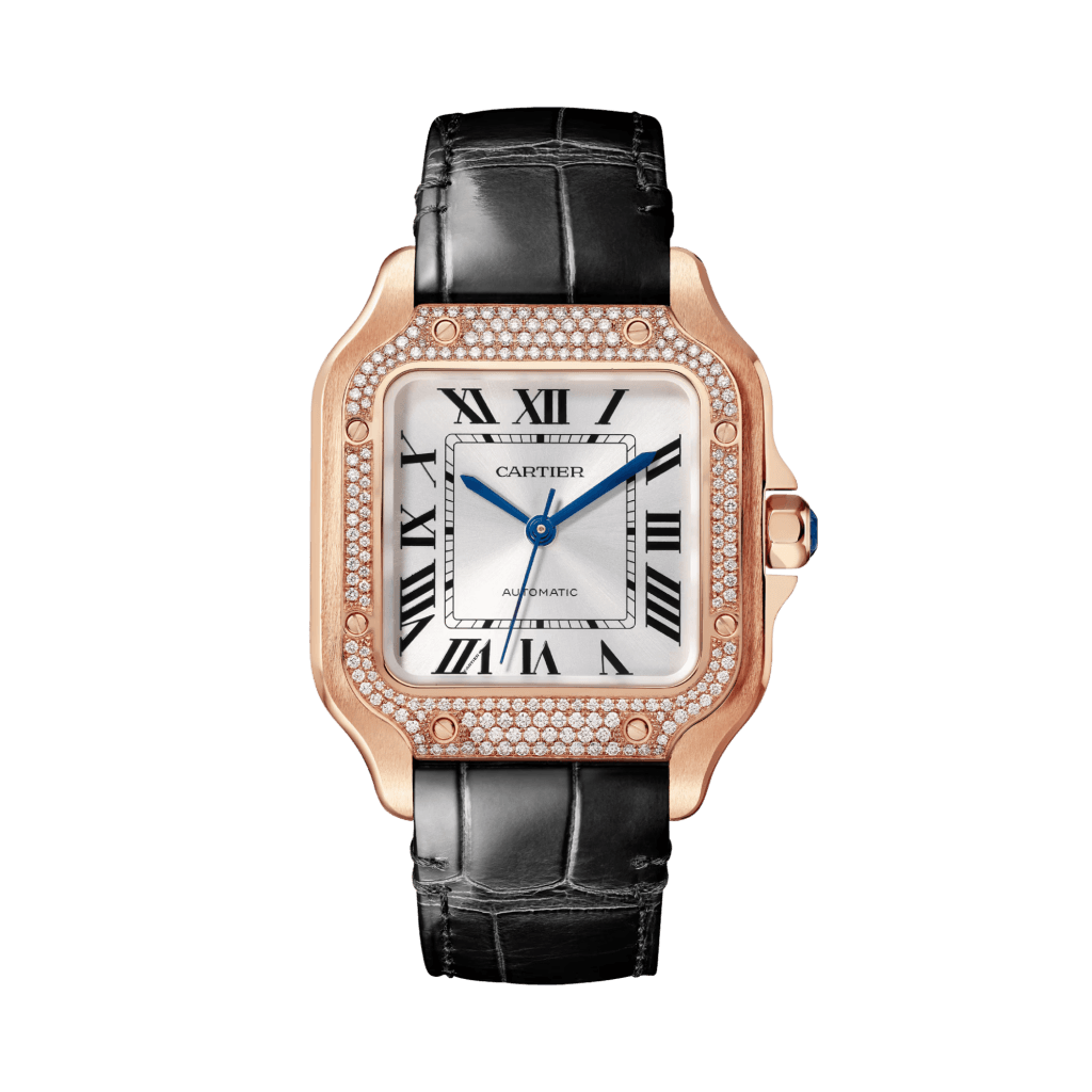 Cartier Santos De Cartier - WJSA0012 - #1