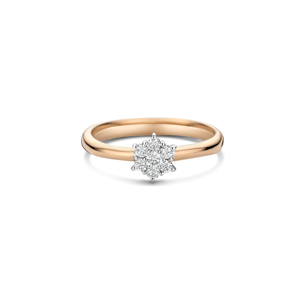 Schaap en Citroen Diamonds ring roodgoud met diamant - #2 Schaap en Citroen Diamonds ring roodgoud met diamant - #2