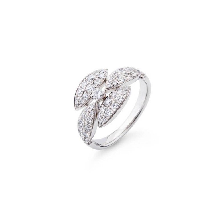 Diamonds Ring - Schaap en Citroen 