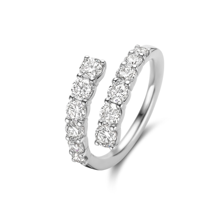 Diamonds Ring - Schaap en Citroen 