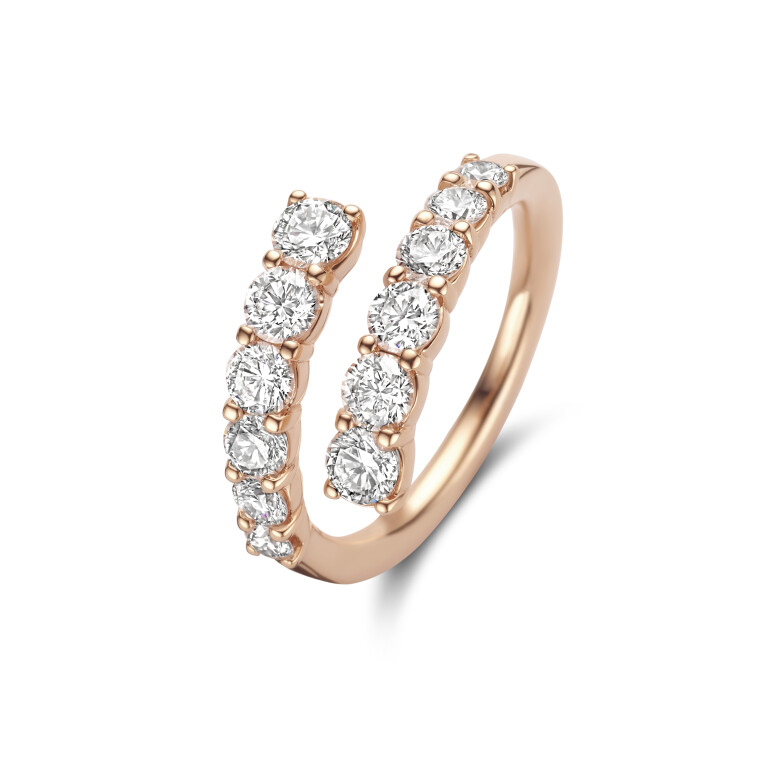 Diamonds Ring - Schaap en Citroen 