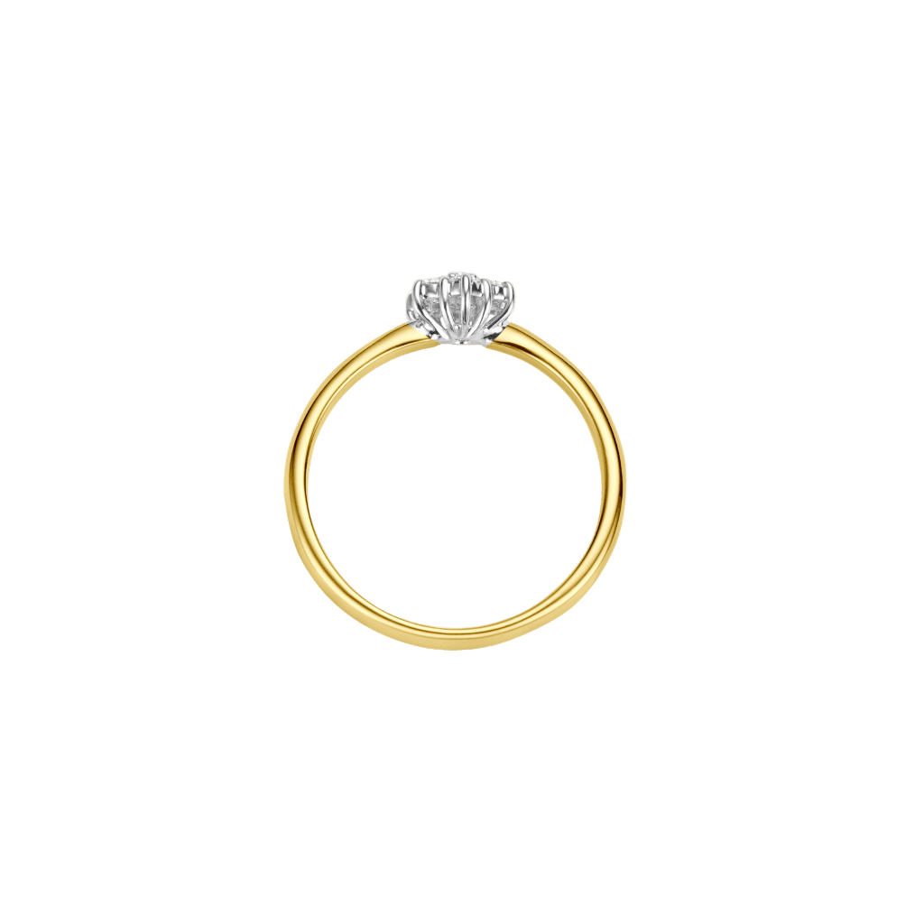 Schaap en Citroen Diamonds ring geelgoud met diamant - #3