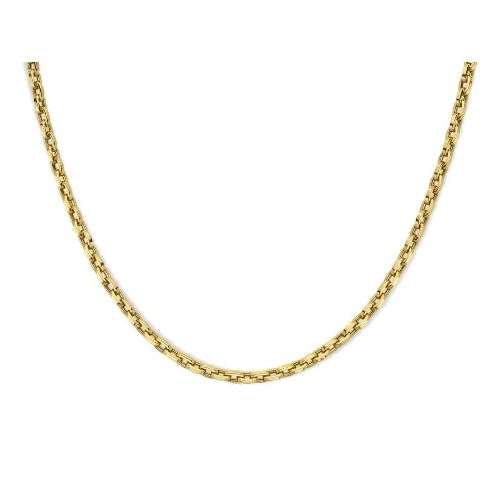 Schaap en Citroen Essentials collier geelgoud - #3