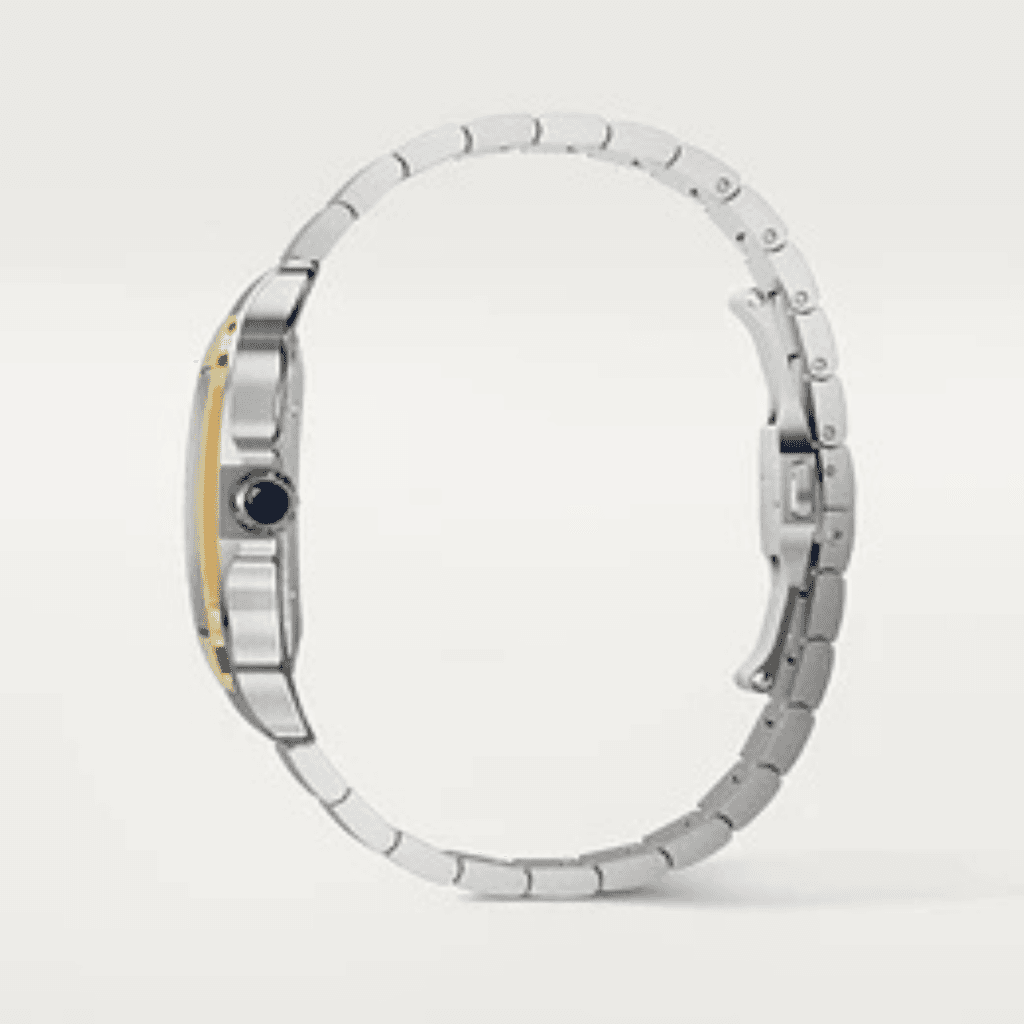 Cartier Santos de Cartier - W2SA0030 - #6