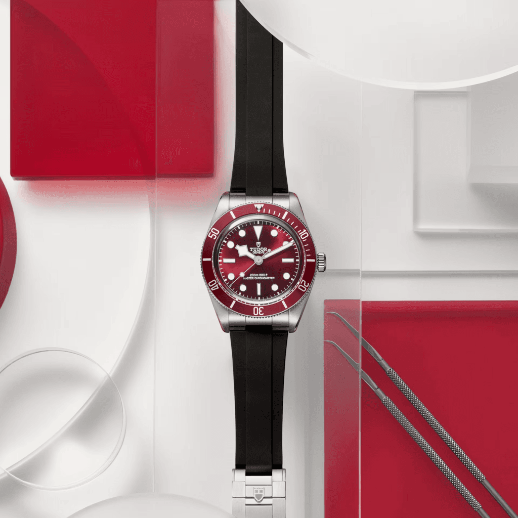 TUDOR Black Bay 58 39mm - 7939A1A0RU-0003 - #5