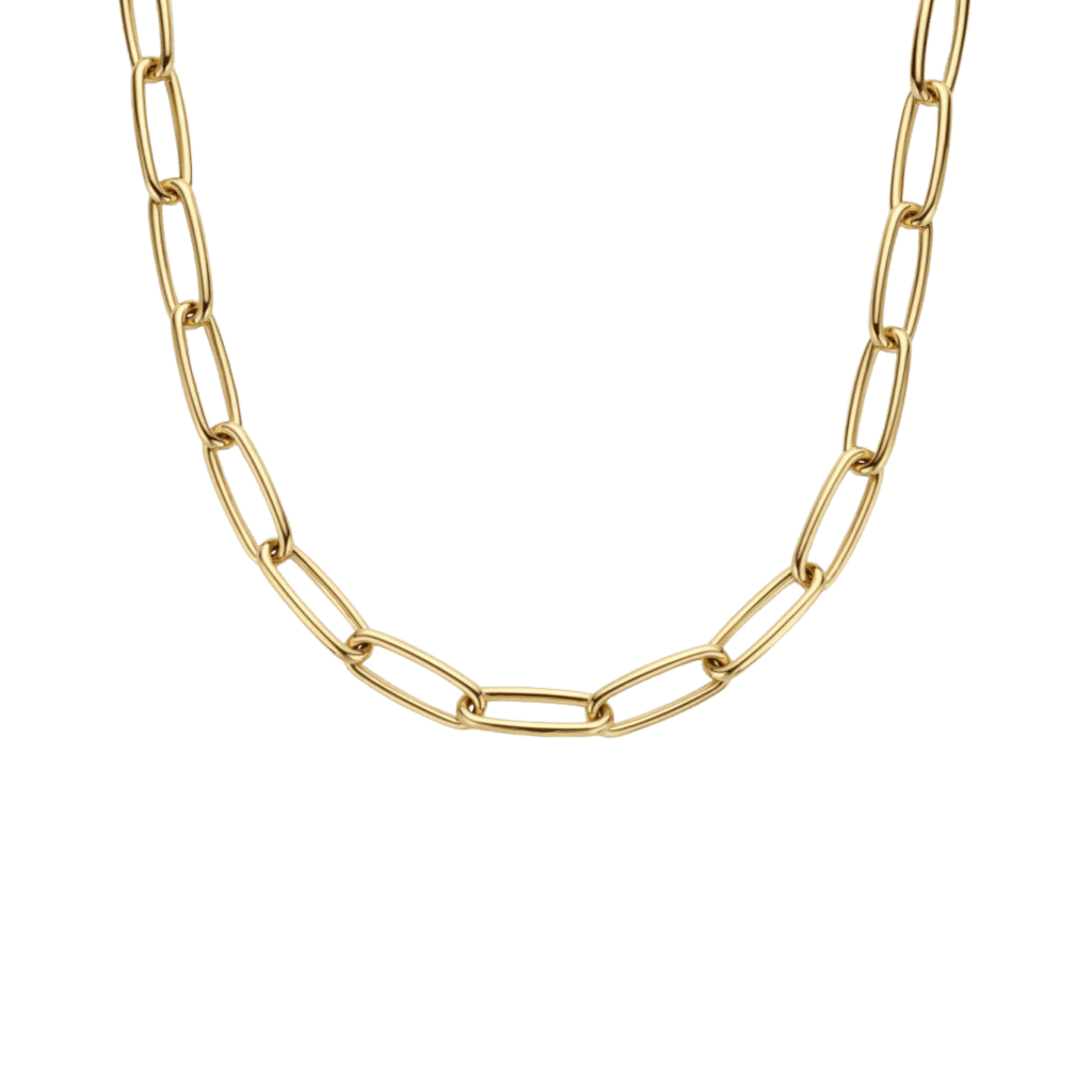 Schaap en Citroen Essentials collier geelgoud - #1