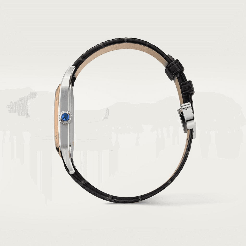 Cartier Santos de Cartier Santos-Dumont - W2SA0037 - #7