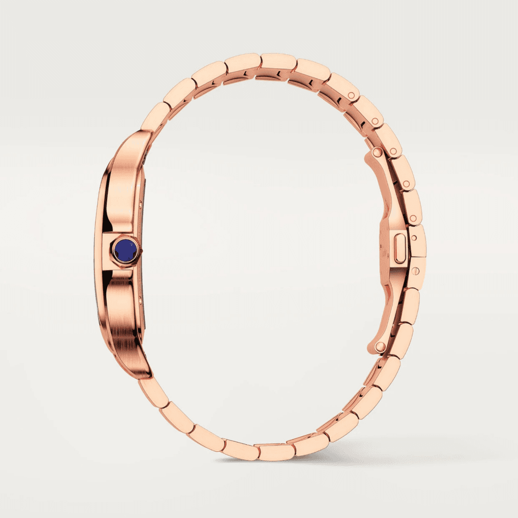 Cartier Santos de Cartier Skeleton - WHSA0016 - #5