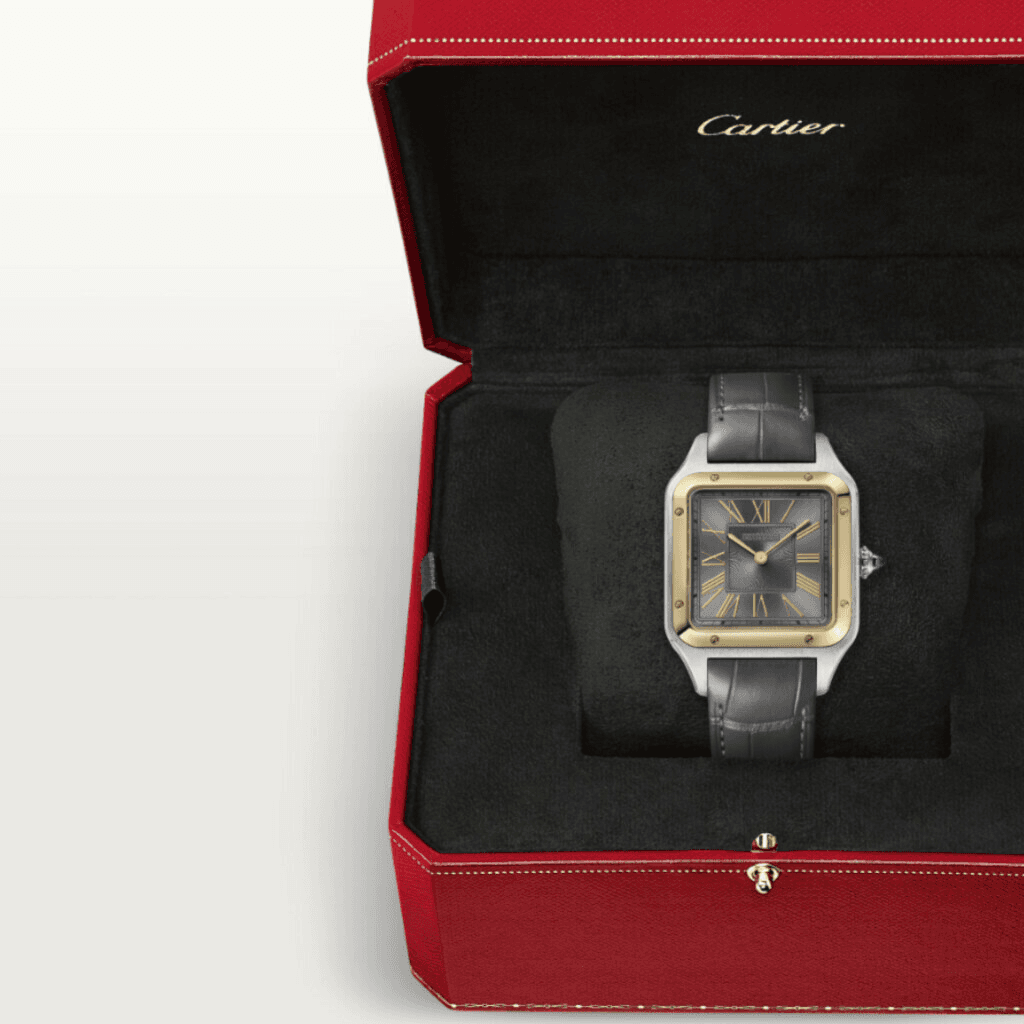 Cartier Santos de Cartier Santos-Dumont - W2SA0036 - #6