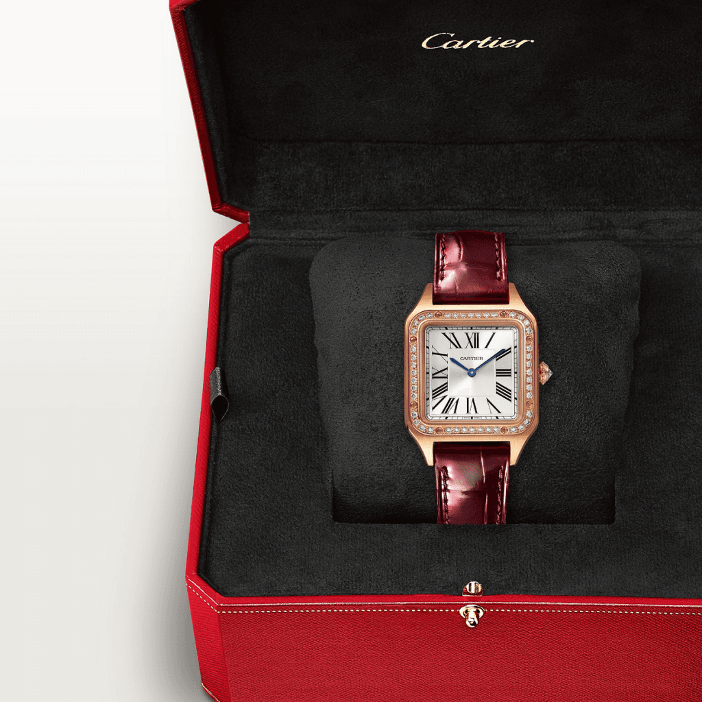 Cartier Santos de Cartier Santos-Dumont - WJSA0017 - #7