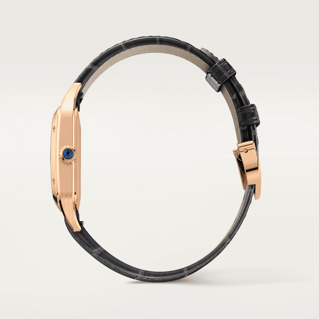 Cartier Santos de Cartier Santos-Dumont - WGSA0022 - #7