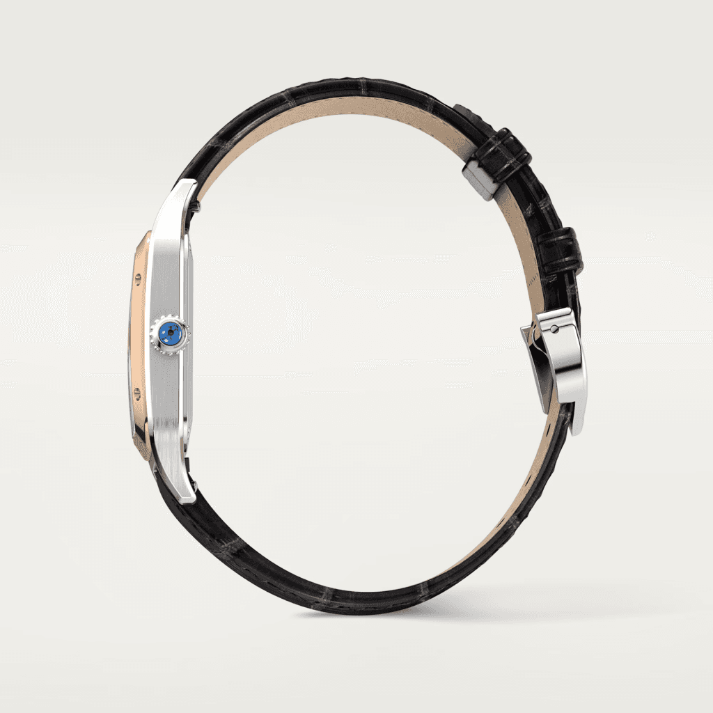 Cartier Santos de Cartier Santos-Dumont - W2SA0038 - #9