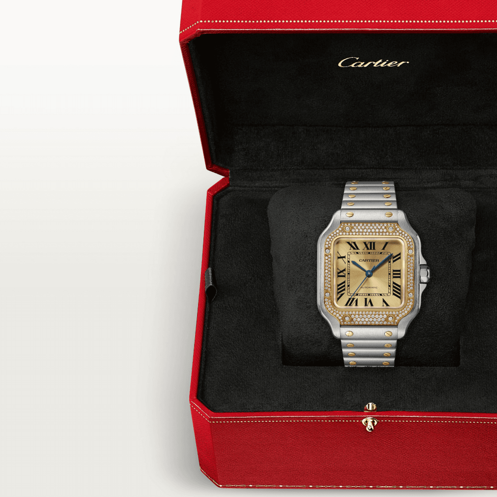 Cartier Santos de Cartier - W3SA0007 - #5