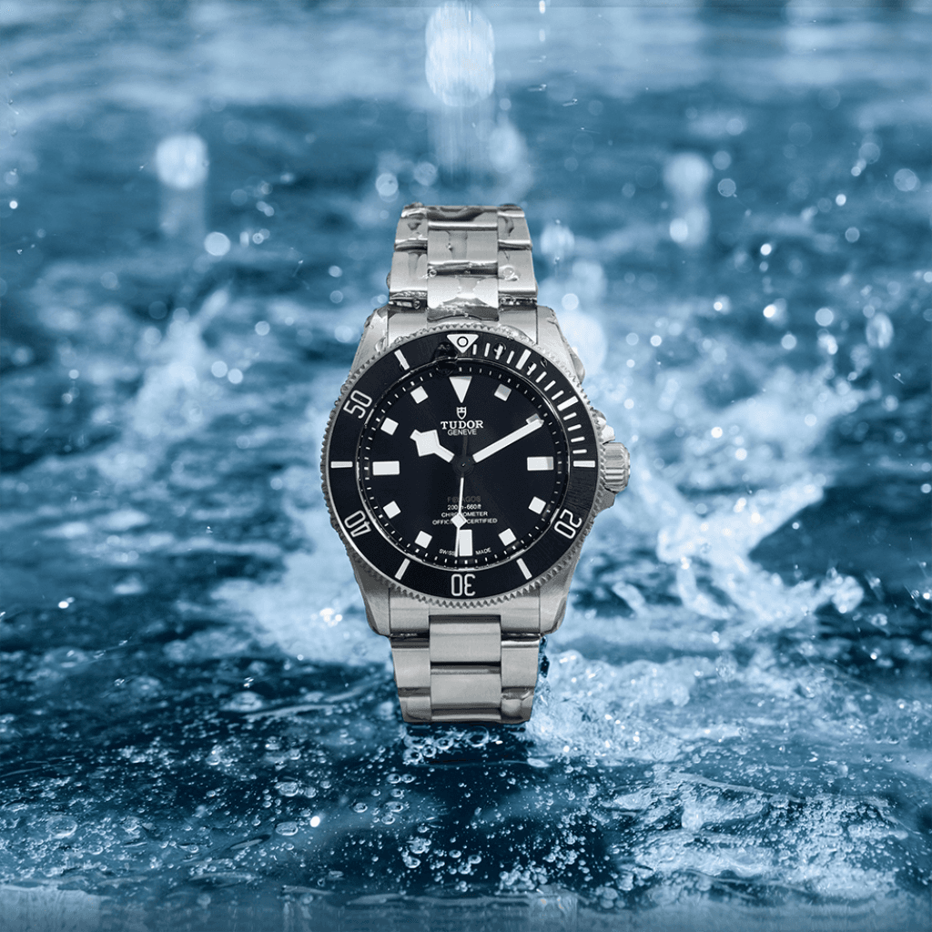 TUDOR Pelagos 39 39mm - 25407N-0001 - #10