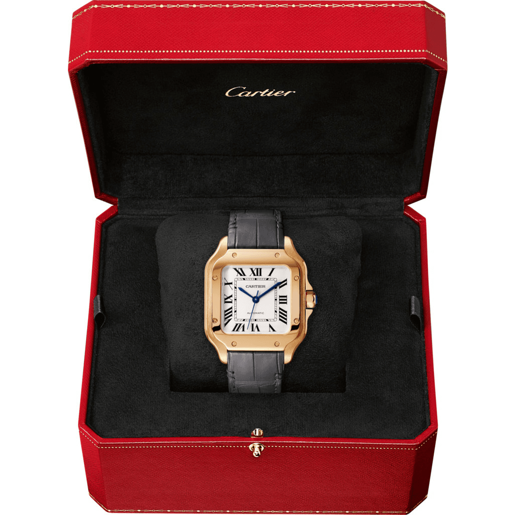 Cartier Santos de Cartier - WGSA0028 - #5
