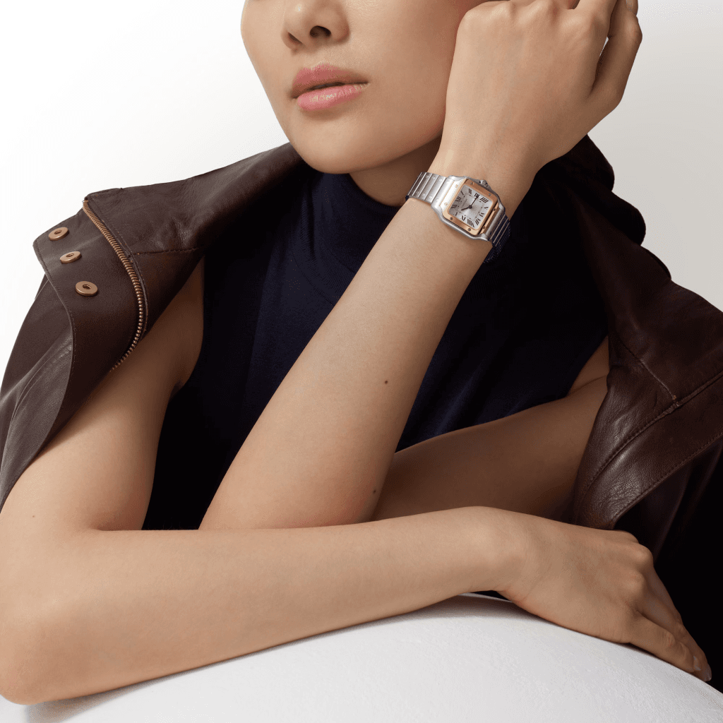 Cartier Santos de Cartier - W2SA0033 - #9