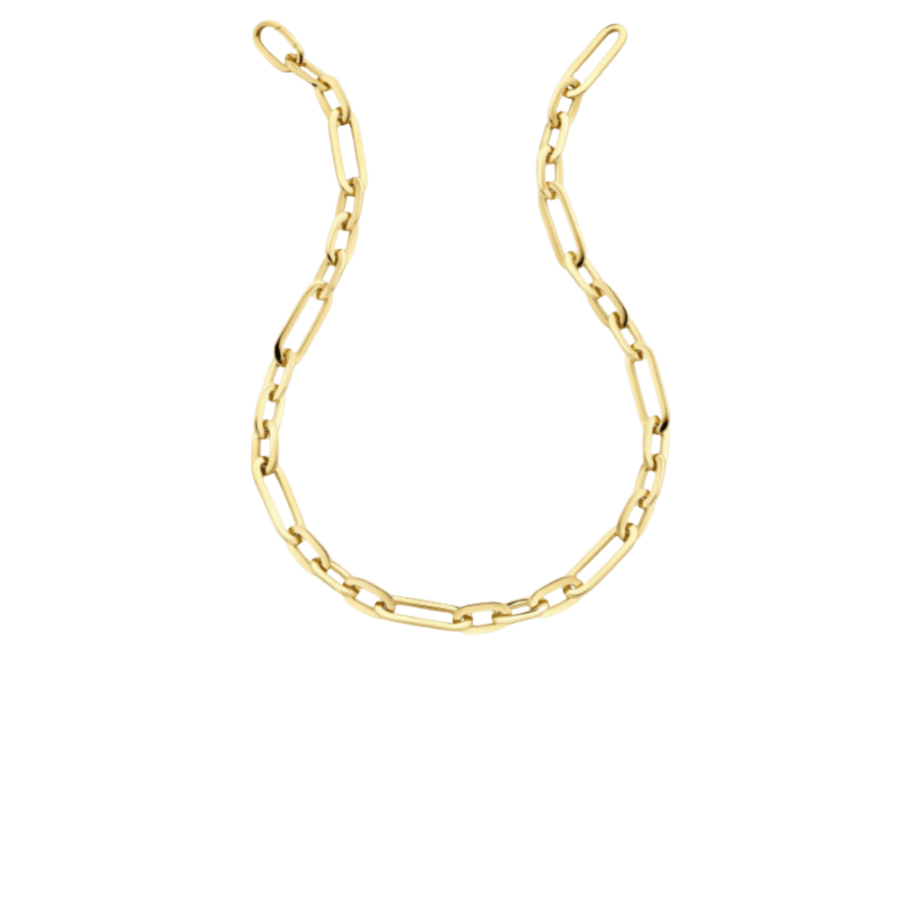 Schaap en Citroen Essentials collier geelgoud - #1