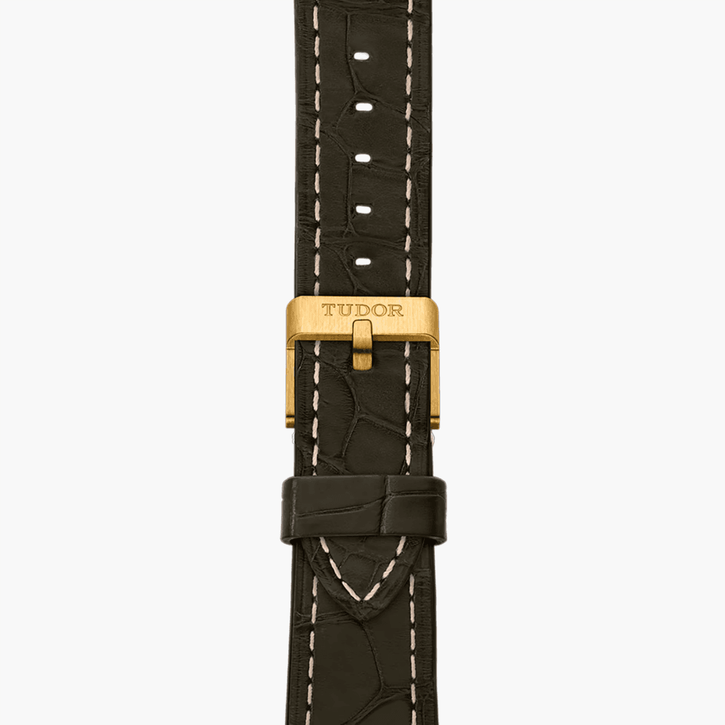 TUDOR Black Bay 58 18K 39mm - 79018V-0001 - #2