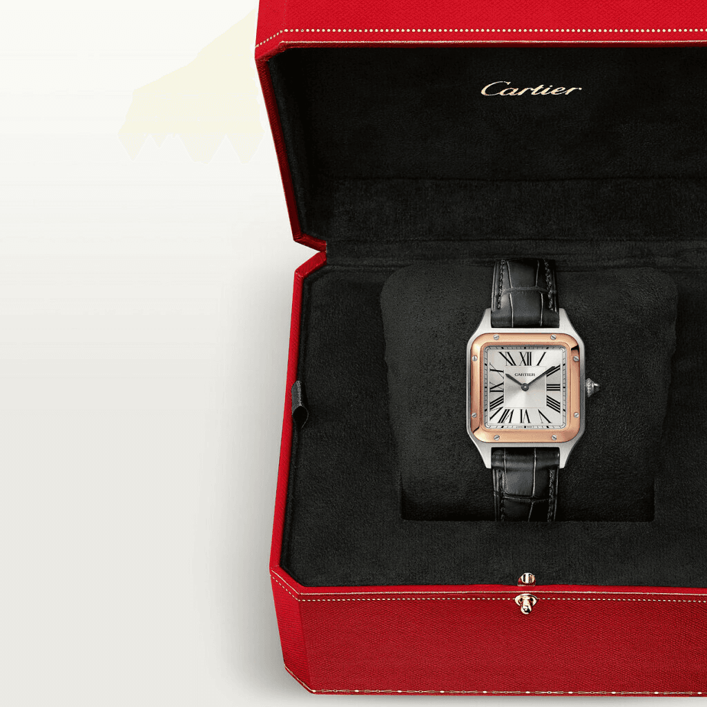 Cartier Santos de Cartier Santos-Dumont - W2SA0038 - #7